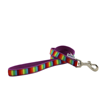Ancol Rainbow Lead 1m x 19mm